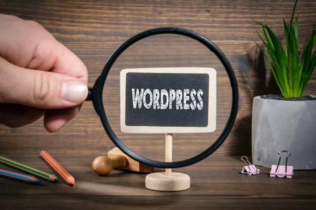 Best Chatbots For WordPress